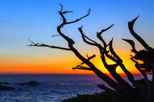 Point Lobos Point Sunset-5966 Point Lobos Point Sunset-5966